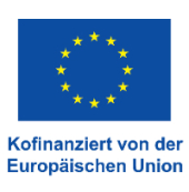 DE V Kofinanziert von der Europäischen Union_POSneu.jpg