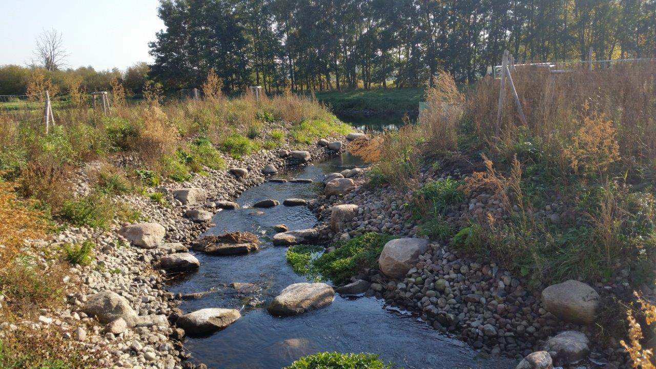 Fischaufstiegsanlage im Landgraben bei Kavelpaß, ein vom ELER gefördertes Projekt