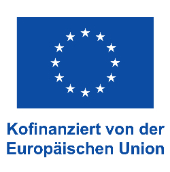DE V Kofinanziert von der Europäischen Union_PANTONE.jpg